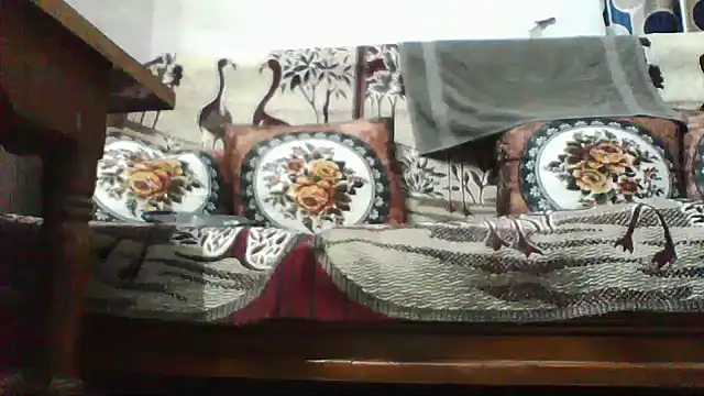shalini fire online show from 07-29-26, 09:29