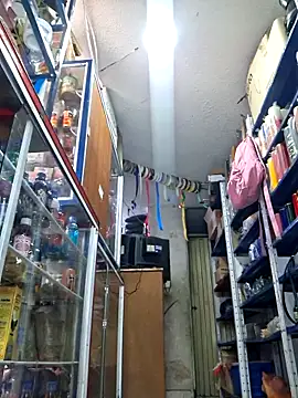 nidia2026 online show from 11-20-25, 03:34