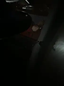 Mustafa-231 online show from 11-29-25, 06:33