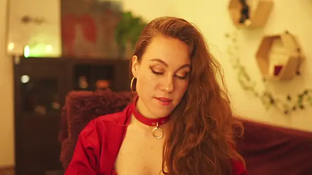 Berberis  Silene online show from 12-18-24, 07:41