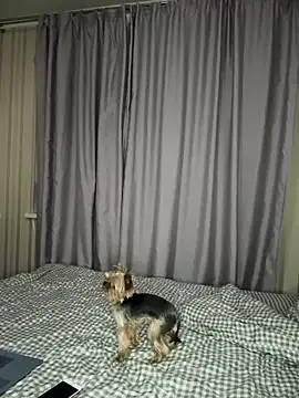 Snapshot of Cute_Barbieee_ chatting on 12-06-24, 10:08 Cute Barbieee online show from 12-06-24, 10:08