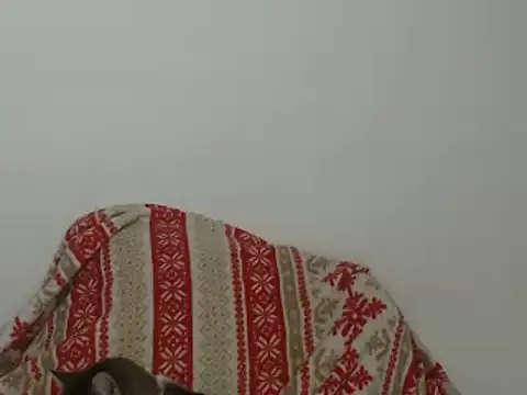 Snapshot of Hannabeckboobs chatting on 01-12-25, 05:03 Hannabeckboobs online show from 01-12-25, 05:03