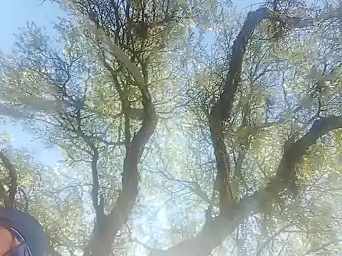 Darly Gomez online show from 12-22-24, 03:22