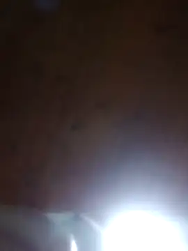 Darly Gomez online show from 03-23-25, 12:04