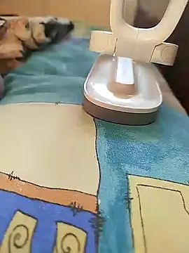 Snapshot of sanek1995sexx chatting on 01-02-25, 12:24 sanek1995sexx online show from 01-02-25, 12:24