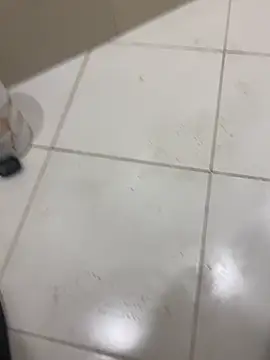 Lahcene online show from 02-07-26, 05:38