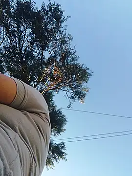 Noah Jhonson online show from 01-20-25, 12:18