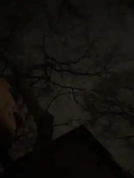 Snapshot of -yakimov- chatting on 01-31-26, 07:34 -yakimov- online show from 01-31-26, 07:34