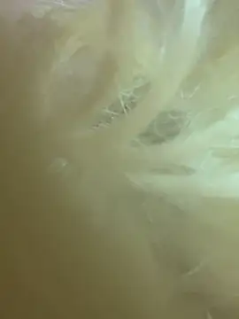 CherryEmmy online show from 10-27-25, 07:18