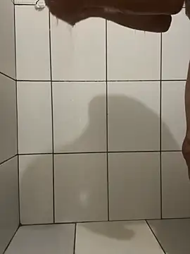 Snapshot of Henrico chatting on 12-24-24, 09:33 Henrico online show from 12-24-24, 09:33