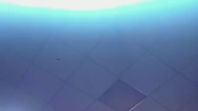 Snapshot of Lexy-Woorhez chatting on 02-28-25, 01:36 Lexy-Woorhez online show from 02-28-25, 01:36