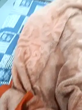 Kakabiraji online show from 11-08-25, 05:01