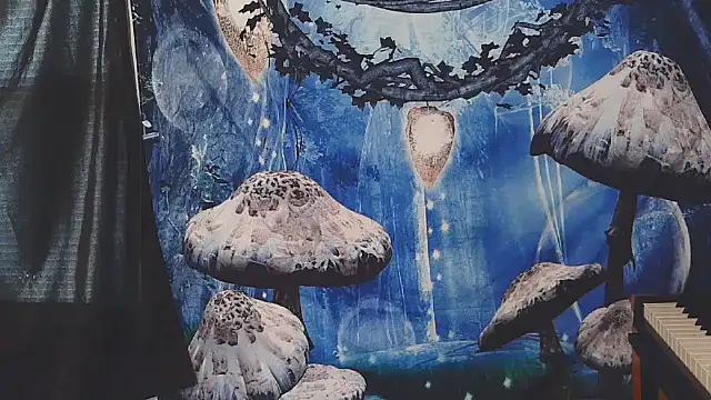  hellostormy  online show from 02-16-26, 07:21