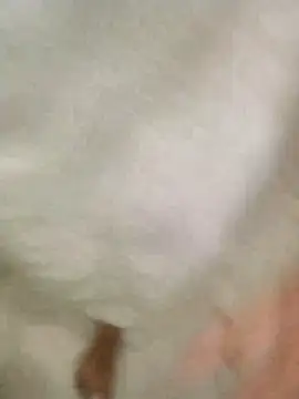 Snapshot of Bombi22 chatting on 12-30-24, 08:15 Bombi22 online show from 12-30-24, 08:15