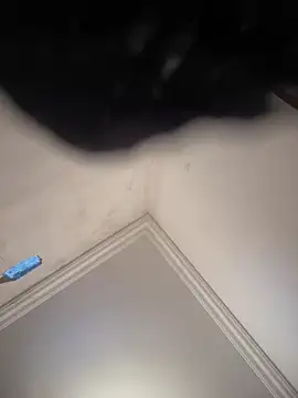 hot girl dina online show from 02-08-25, 11:01