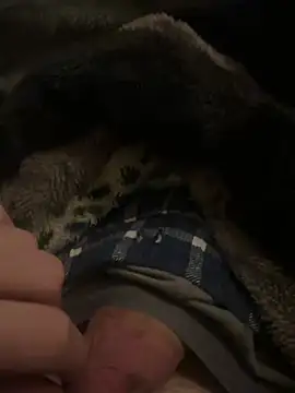 hamoo23p online show from 02-22-26, 02:45