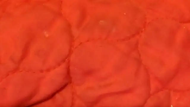 Snapshot of Huntzg23 chatting on 11-28-25, 07:44 Huntzg23 online show from 11-28-25, 07:44