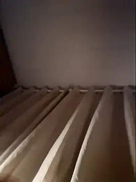 Leinad27 online show from 11-11-25, 01:27