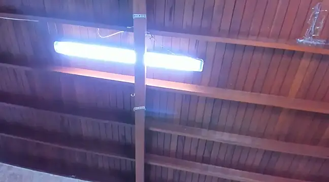 jeicob gagnon online show from 03-13-25, 06:34