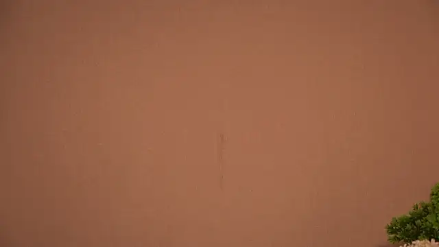 Hi my name is online show from 04-27-26, 04:05