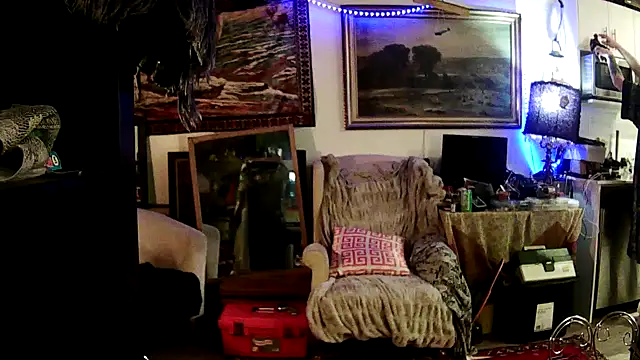 SilverandFox online show from 01-27-25, 09:34