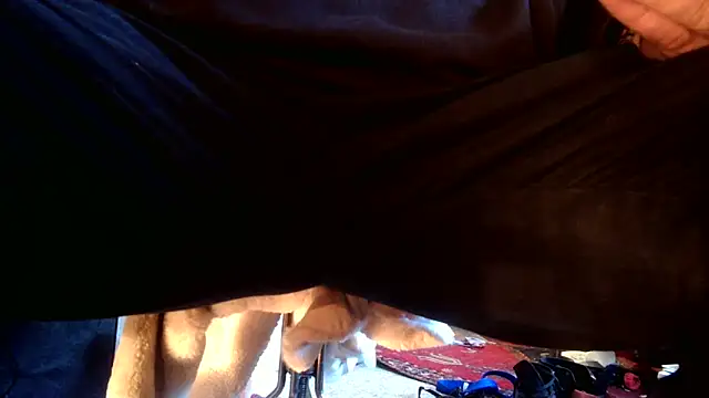 SilverandFox online show from 09-10-25, 05:46