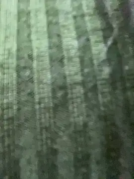 Rosita forever  online show from 02-24-25, 04:15