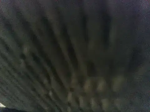 Snapshot of party51502 chatting on 03-08-25, 07:20 party51502 online show from 03-08-25, 07:20