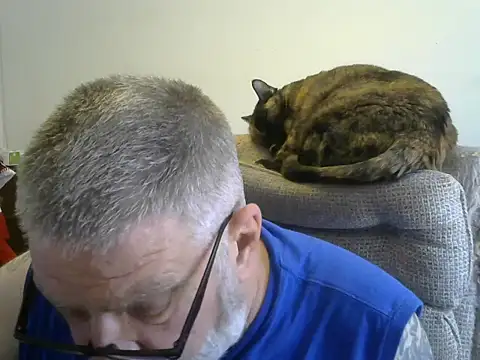 viejo oso online show from 10-05-25, 07:45