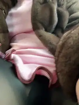 Snapshot of AndreaMood chatting on 02-01-25, 06:43 AndreaMood online show from 02-01-25, 06:43