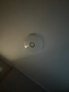 Snapshot of AndreaMood chatting on 10-10-25, 12:31 AndreaMood online show from 10-10-25, 12:31