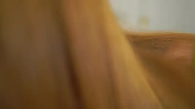 dietmountaindew  online show from 04-30-26, 03:29