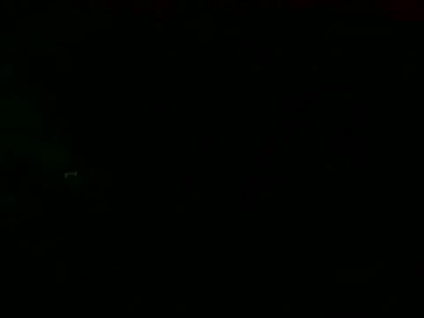 PureNude online show from 02-24-25, 11:19