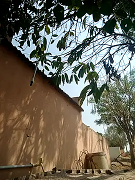 carria homes online show from 03-14-25, 09:14