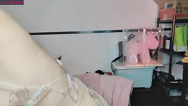 diandian-866 online show from 02-20-25, 02:24