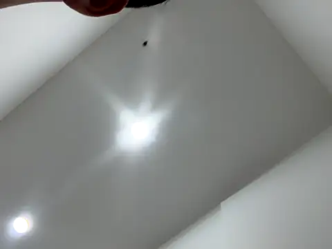 Sexocokin online show from 12-16-25, 01:16