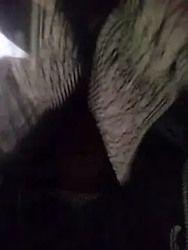 Snapshot of muskan-Sharma chatting on 03-18-25, 04:04 muskan-Sharma online show from 03-18-25, 04:04