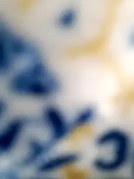 Tamil Vishalini online show from 12-29-24, 07:22