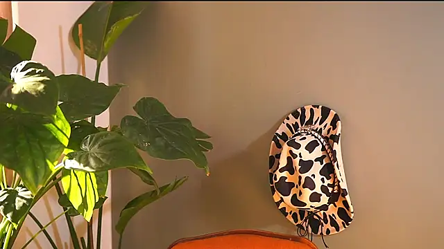 HairyRobxxx online show from 09-19-25, 01:56