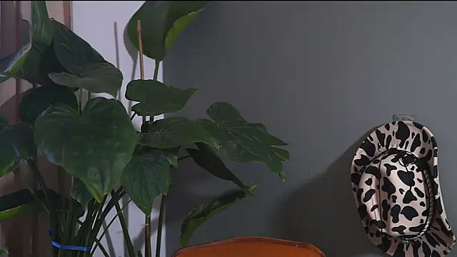 HairyRobxxx online show from 09-20-25, 10:05