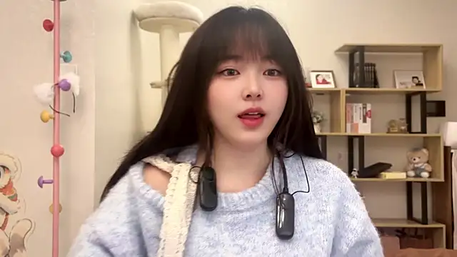 Snapshot of Chenjing0 chatting on 11-02-25, 02:47 Chenjing0 online show from 11-02-25, 02:47