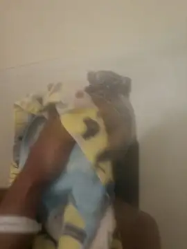 Looking4Jerries online show from 12-31-24, 06:48