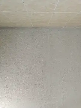 Snapshot of boobsTaylor chatting on 09-21-25, 06:53 boobsTaylor online show from 09-21-25, 06:53