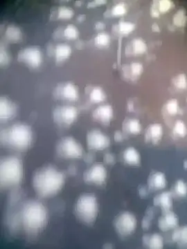 Snapshot of Amaya_Bajwa chatting on 11-15-25, 04:32 Amaya Bajwa online show from 11-15-25, 04:32