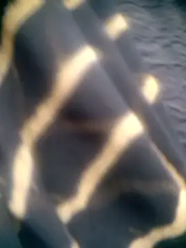 Snapshot of Amaya_Bajwa chatting on 12-15-25, 04:39 Amaya Bajwa online show from 12-15-25, 04:39