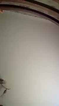 Lauren Amabel online show from 03-16-25, 07:04