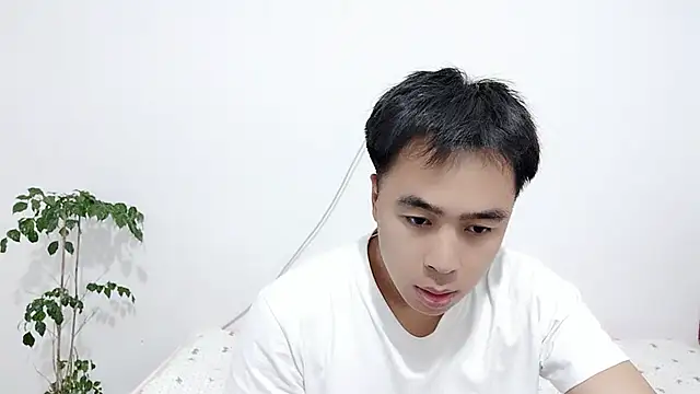                     88 online show from 02-04-26, 08:36