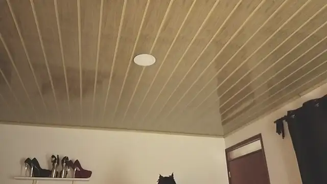 Snapshot of Renaxi_Smith chatting on 10-31-25, 07:59 Renaxi Smith online show from 10-31-25, 07:59