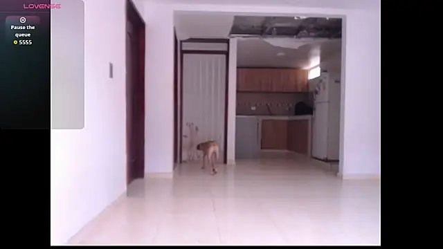 leslycarsson online show from 10-07-25, 07:11