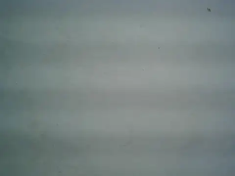 Snapshot of michel1520 chatting on 06-09-26, 04:35 michel1520 online show from 06-09-26, 04:35